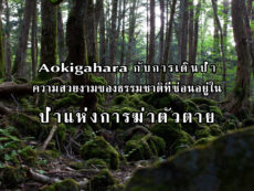 Aokigahara ความสวยงามของธรรมชาติที่ซ่อนอยู่ในป่าแห่งการฆ่าตัวตาย