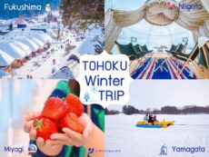 Tohoku Winter Trip ตะลุย Niigata, Fukushima, Yamagata  และ Miyagi ครบกิจกรรมเด็ด ที่พักดี 5 วัน 4 คืน