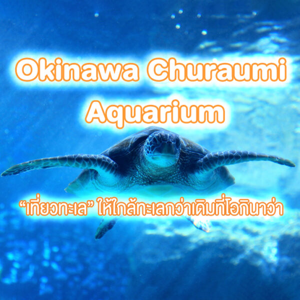 Okinawa Churaumi Aquarium “เที่ยวทะเล” ให้ใกล้กว่าเดิมที่เมืองโอกินาว่า