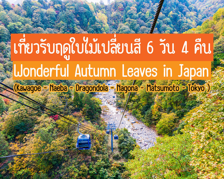 เที่ยวรับฤดูใบไม้เปลี่ยนสี 6 วัน 4 คืน Wonderful Autumn Leaves in Japan