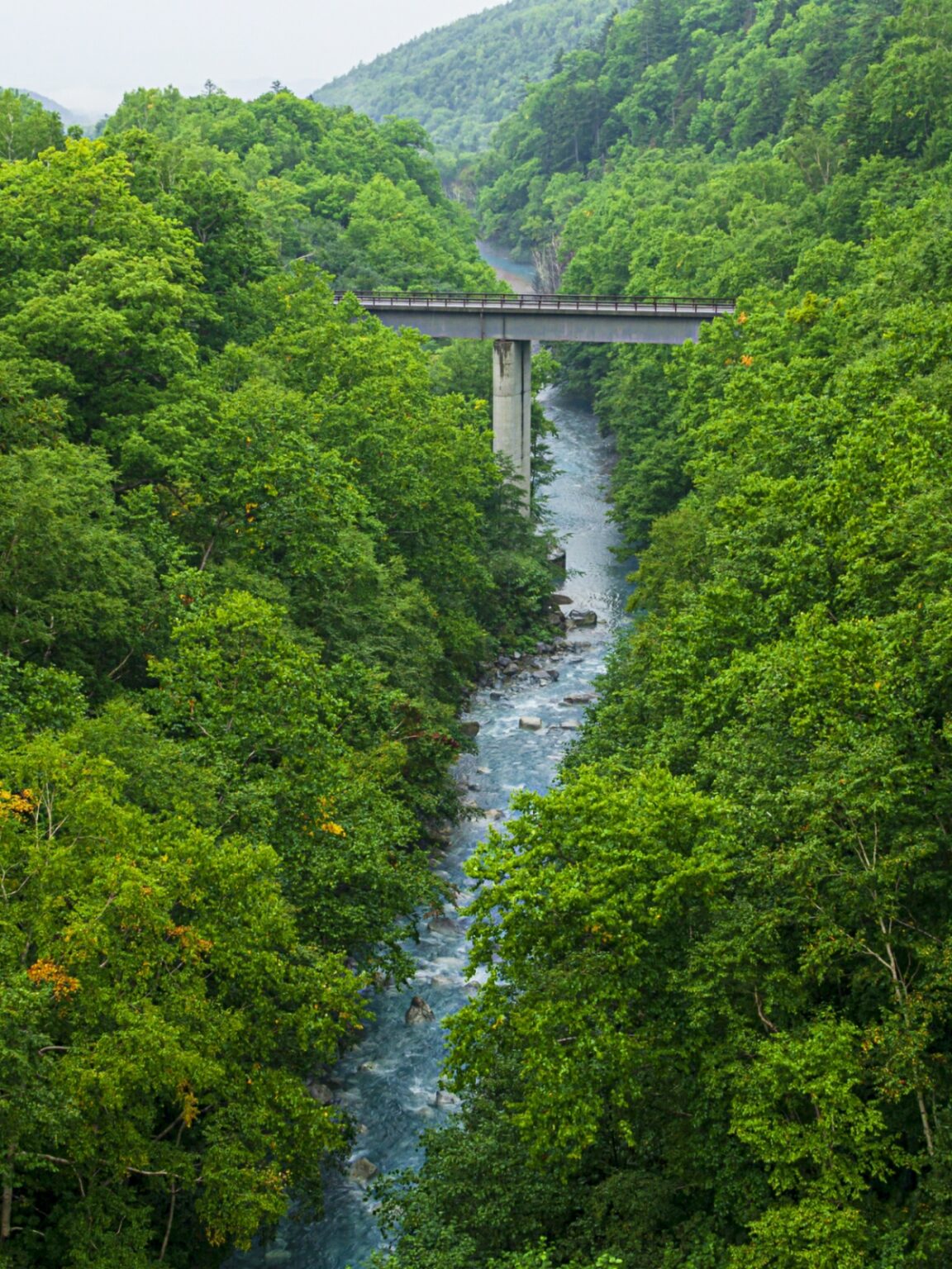 Shirogane Blue Pond บ่อน้ำสีฟ้า สิ่งมหัศจรรย์แห่งเมืองบิเอะ Chill