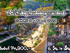 ทริบโทโฮคุ เที่ยวเต็มอิ่มฤดูใบไม้เปลี่ยนสี 6 วัน 4 คืน Tohoku 5 – 10 Oct 2022