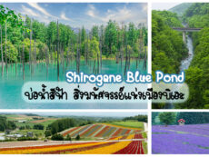 Shirogane Blue Pond บ่อน้ำสีฟ้า สิ่งมหัศจรรย์แห่งเมืองบิเอะ