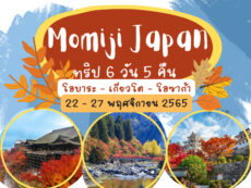 Momiji Japan เที่ยวเทศกาลใบไม้เปลี่ยนสีที่สวยที่สุดของปีกับวิวที่คุ้มที่สุด  ทริป 6 วัน 5 คืน