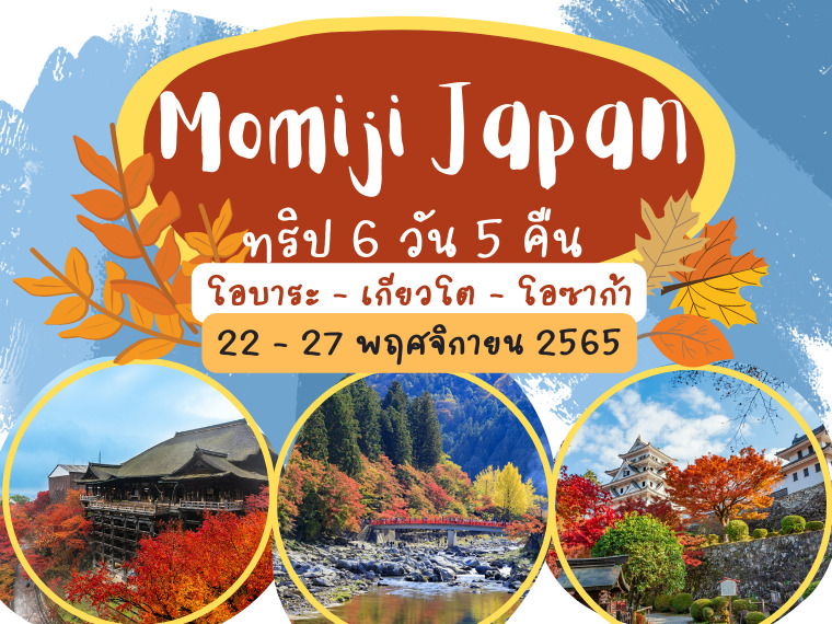 Momiji Japan เที่ยวเทศกาลใบไม้เปลี่ยนสีที่สวยที่สุดของปีกับวิวที่คุ้มที่สุด  ทริป 6 วัน 5 คืน