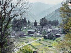 เดินทางไปชมหมู่บ้านมรดกโลก สู่การขึ้นเขาด้วย Ropeway สถานที่แนะนำจาก MICHELIN Green Guide Japan! เที่ยว ชม กิน เล่น สนุก ครบเครื่อง ในเมือง Nagano ～ Toyama ～ Gifu 3 วันเต็ม