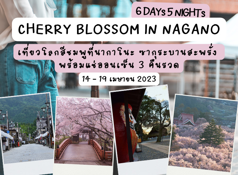 ทัวร์ญี่ปุ่น CHERRY BLOSSOM IN NAGANO เที่ยวโลกสีชมพูที่นากาโนะ ซากุระบานสะพรั่ง พร้อมแช่ออนเซ็น 3 วันรวด 6 DAYS 5 NIGHTS