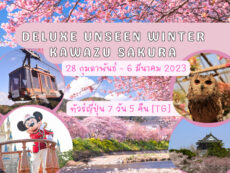 ทัวร์ญี่ปุ่น DELUXE UNSEEN WINTER KAWAZU SAKURA ปล่อยให้ดอกซากุระเติมเต็มหัวใจ ที่คาวาสึ ซากุระ 7 วัน 5 คืน