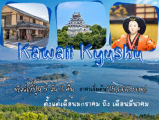 ทัวร์ญี่ปุ่น Kawaii Kyushu ชิม-ช้อป-แชะ เที่ยวคิวชู 5 วัน 3 คืน เดินทางเดือนมกราคมถึงมีนาคม ราคาเริ่มต้นเพียง 25,666 บาท