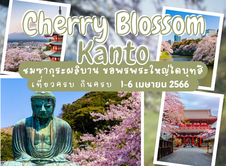 ทัวร์ญี่ปุ่น Cherry Blossom Kanto ชมซากุระผลิบาน ขอพรพระใหญ่ไดบุทสึ 6 วัน 3 คืน