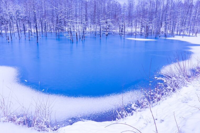 The Blue Pond