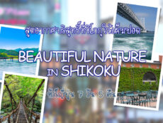 ทัวร์ญี่ปุ่น BEAUTIFUL NATURE IN SHIKOKU สูดอากาศบริสุทธิ์ที่ชิโกกุให้เต็มปอด 7 วัน 5 คืน