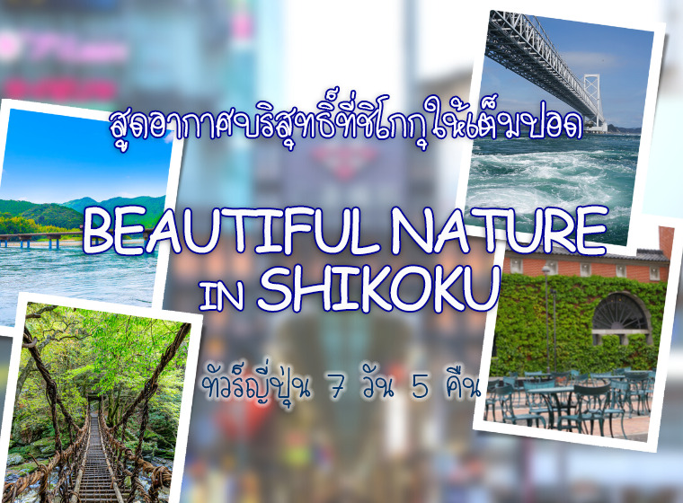 ทัวร์ญี่ปุ่น BEAUTIFUL NATURE IN SHIKOKU สูดอากาศบริสุทธิ์ที่ชิโกกุให้เต็มปอด 7 วัน 5 คืน