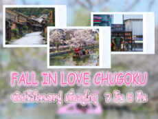 ทัวร์ญี่ปุ่น FALL IN LOVE CHUGOKU ทริปหัวใจพองฟู เที่ยวชูโกกุ  7 วัน 5 คืน