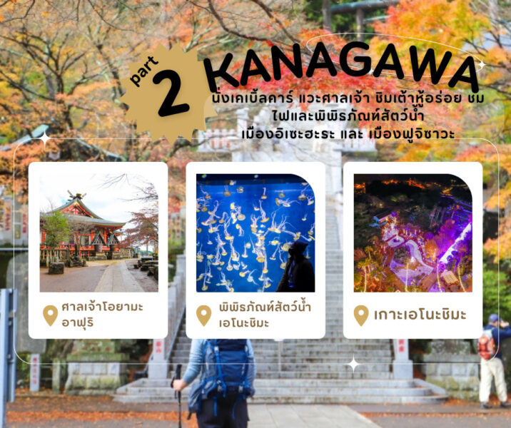 รีวิวที่เที่ยวใกล้โตเกียว นั่งเคเบิ้ลคาร์ แวะศาลเจ้า ชิมเต้าหู้อร่อย ชมไฟและพิพิธภัณฑ์สัตว์น้ำ เมืองอิเซะฮะระ และ เมืองฟูจิซาวะ จ . คานางาวะ (Kanagawa)