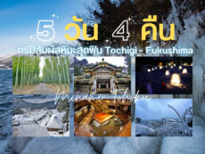 รีวิวเที่ยว 5 วัน 4  คืน โทชิงิ มินามิโทโฮคุ ทริปสัมผัสหิมะสุดฟิน Tochigi – Fukushima Part 1