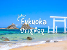 20 ที่เที่ยวฟุกุโอกะ (Fukuoka) ประตูสู่เกาะคิวชู เที่ยวฟิน เดินทางสะดวก