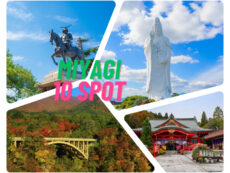 10 ที่เที่ยวมิยางิ (Miyagi) เยือนเมืองอีสานแห่งญี่ปุ่น ขุมทรัพย์ธรรมชาติ พร้อมข้อมูลที่ต้องรู้!