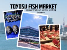 แนะนำตลาดปลาโทโยสุ (Toyosu Market) ตลาดปลาน้องใหม่แห่งกรุงโตเกียว
