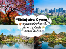 Shinjuku Gyoen สวนสวยน่าเที่ยวทั้ง 4 ฤดู Oasis ใจกลางโตเกียว