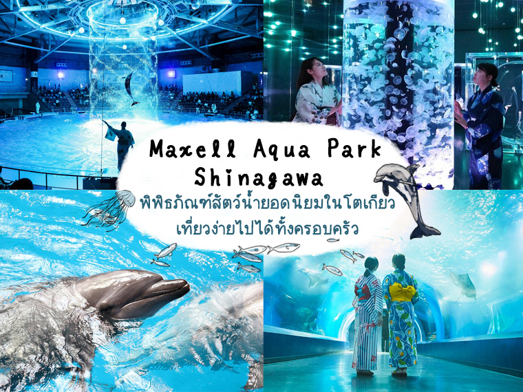 Maxell Aqua Park Shinagawa พิพิธภัณฑ์สัตว์น้ำยอดนิยมในโตเกียวเที่ยวง่ายไปได้ทั้งครอบครัว