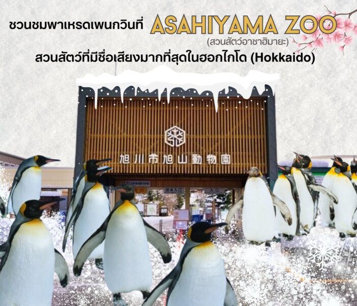 ชวนชมพาเหรดเพนกวิน ที่ “สวนสัตว์อาซาฮิยามะ (Asahiyama Zoo)” สวนสัตว์ที่มีชื่อเสียงมากที่สุดของในฮอกไกโด (Hokkaido)