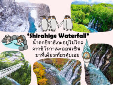 Shirahige Waterfall น้ำตกชิราฮิเกะมีธรรมชาติอันน่าทึ่งไม่ไกลจากชิโรกาเนะออนเซ็น มาที่เดียวเที่ยวคุ้มเลย