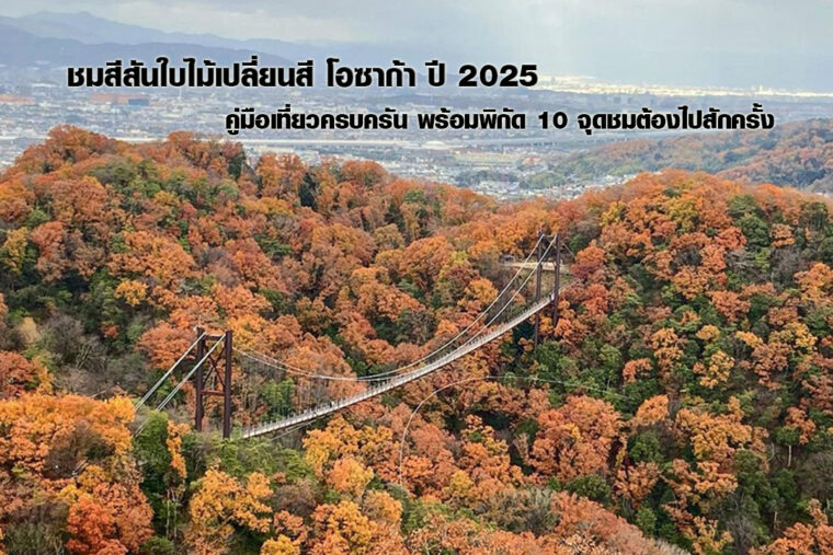 ชมสีสันใบไม้เปลี่ยนสี โอซาก้า ปี 2025 คู่มือเที่ยวครบครัน พร้อมพิกัด 10 จุดชมต้องไปสักครั้ง