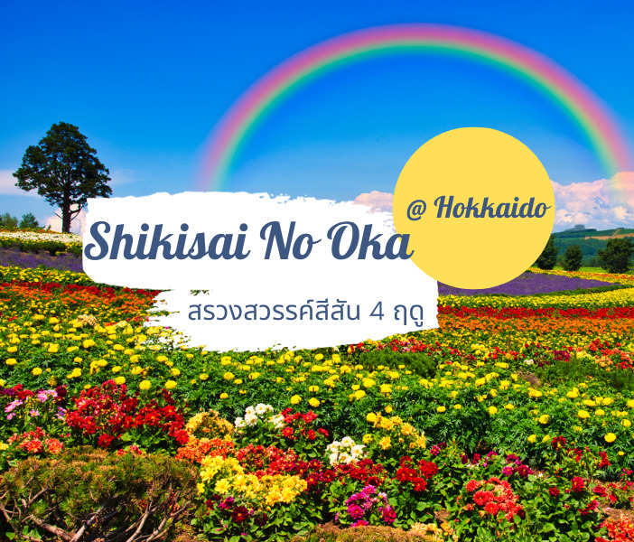 Shikisai No Oka  ทุ่งดอกไม้ฮอกไกโด ตื่นตา 4 ฤดู