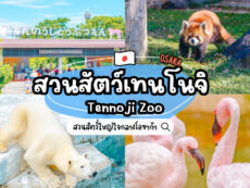 สวนสัตว์เทนโนจิ (Tennoji Zoo) สวนสัตว์ขนาดใหญ่ใจกลางโอซาก้า ออกแบบมาให้เหมือนได้เข้าไปอยู่ในป่าจริง ๆ