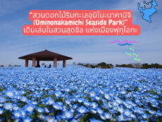 “สวนดอกไม้ริมทะเลอุมิโนะนาคามิจิ (Uminonakamichi Seaside Park)” เดินเล่นในสวนสุดชิล แห่งเมืองฟุกุโอกะ