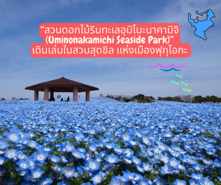 “สวนดอกไม้ริมทะเลอุมิโนะนาคามิจิ (Uminonakamichi Seaside Park)” เดินเล่นในสวนสุดชิล แห่งเมืองฟุกุโอกะ