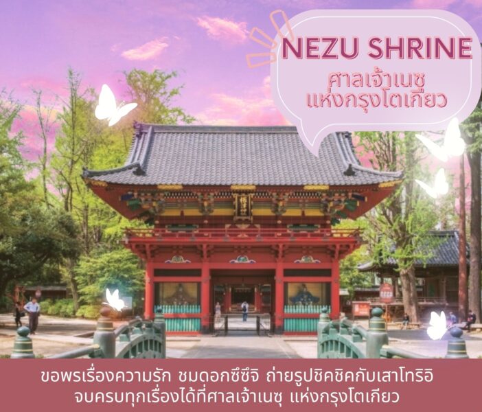 Nezu Shrine ขอพรเรื่องความรัก ชมดอกซึซึจิ ถ่ายรูปชิคชิคกับเสาโทริอิ จบครบทุกเรื่องได้ที่ศาลเจ้าเนซุ แห่งกรุงโตเกียว
