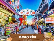 ตลาดอะเมโยโกะ (Ameyoko) แหล่งช้อปปิ้งสตรีทฟู้ดชื่อดังประจำย่านอุเอะโนะ