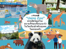 สวนสัตว์อุเอโนะ (Ueno Zoo) สถานที่ท่องเที่ยวแนะนำในโตเกียว สำหรับทุกคนในครอบครัว