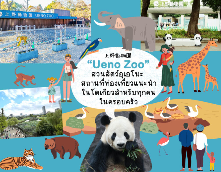 สวนสัตว์อุเอโนะ (Ueno Zoo) สถานที่ท่องเที่ยวแนะนำในโตเกียว สำหรับทุกคนในครอบครัว