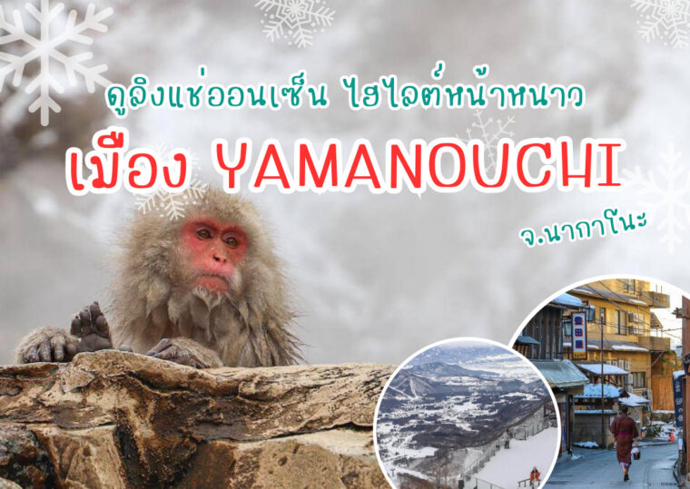 ดูลิงแช่ออนเซ็น ไฮไลต์หน้าหนาว เมืองยามาโนะอุจิ(Yamanouchi) จ.นากาโนะ (Nagano) นั่งกอนโดล่าที่ใหญ่ที่สุดในโลกที่ลานสกี Ryuoo พักเรียวกังญี่ปุ่น