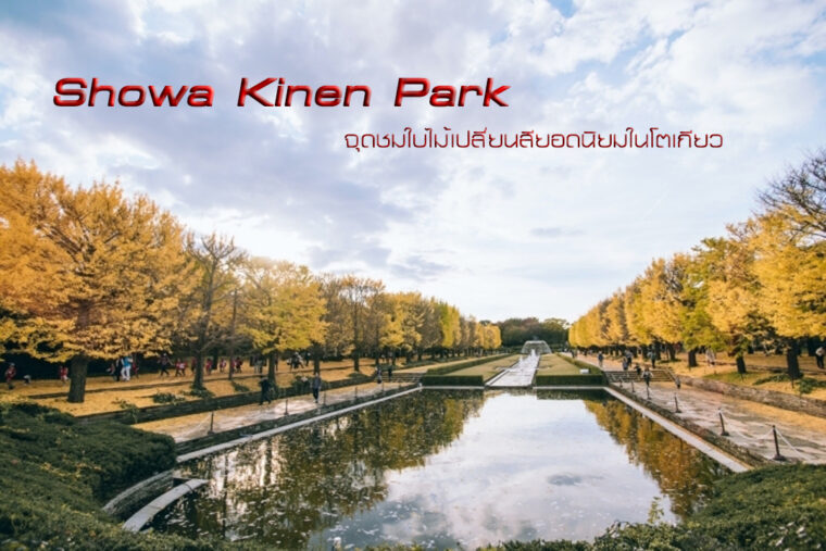 สวนสาธารณะ showa kinen park จุดชมใบไม้เปลี่ยนสี