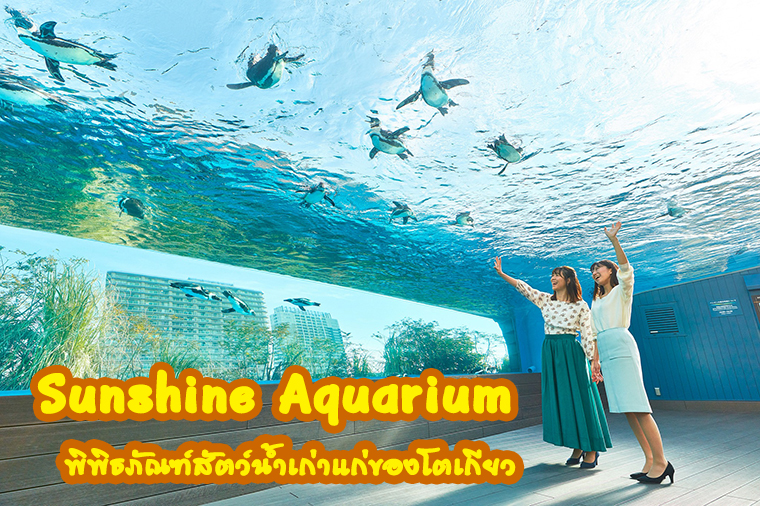 เที่ยว Sunshine Aquarium พิพิธภัณฑ์สัตว์น้ำเก่าแก่ของโตเกียว