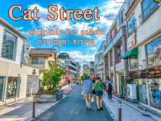 Cat Street ถนนสายเล็ก ลับๆ สุดคึกคักย่าน ชิบูย่า ฮาราจุกุ
