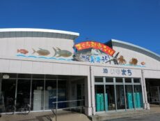 ร้านเด็ดร้านดังห้ามพลาดที่ตลาดปลา Tomari Iyumachi Fish Market แห่ง Okinawa ￼