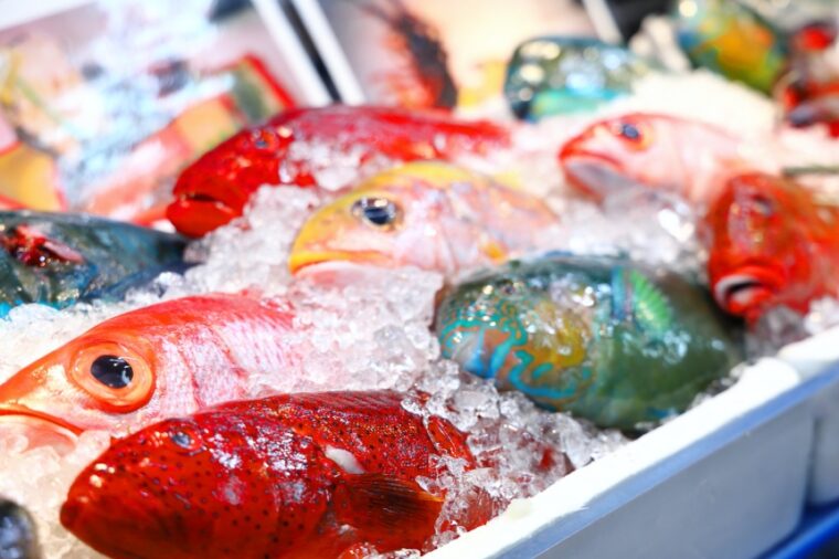 ตลาดมาคิชิ (Makishi Public Market) ตลาดยอดฮิตในนาฮะ ที่จะพาไปเติมพลังด้วยอาหารทะเลแสนอร่อย