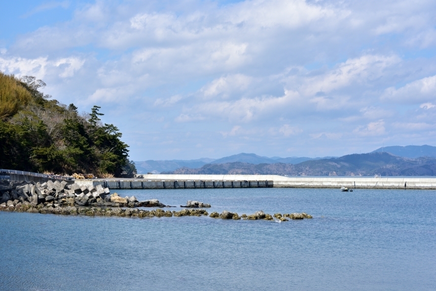 ถูกใจทาสแมว!! Tashirojima เกาะแมว ที่คนรักแมว ต้องไป! - Chill Chill Japan