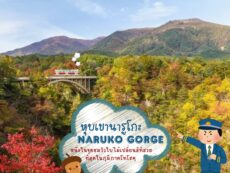 หุบเขานารูโกะ (Naruko Gorge) หนึ่งในจุดชมวิวใบไม้เปลี่ยนสีที่สวยที่สุดในภูมิภาคโทโฮคุ