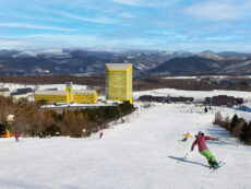 เล่นสกีแบบมีความสุข สุดสนุก ที่ Appi Kogen Ski Resort