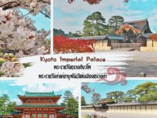 พระราชวังหลวงเกียวโต (Kyoto Imperial Palace) พระราชวังเก่าแก่อายุพันปีแห่งเมืองหลวงเก่า