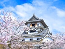 ปราสาท Inuyama Castle ปราสาทดั้งเดิม เที่ยวง่ายจาก Nagoya !!!!!