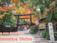 สงบ งดงาม กับศาลเจ้าโบราณ Nonomiya Shrine เกียวโต