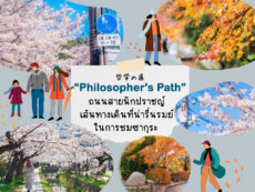 Philosopher’s Path ถนนสายนักปราชญ์เส้นทางเดินที่น่ารื่นรมย์ในการชมซากุระ