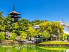 เที่ยววัด Kofukuji วัดเก่าแก่สุดคลาสสิคที่ทุกคนห้ามพลาดแห่งเมือง Nara